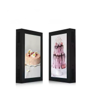 32 Inch Outdoor Wall Mounted Display